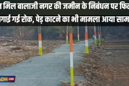 20230415 090941 कॉटन मिल बालाजी नगर की जमीन के निबंधन पर फिलहाल लगाई गई रोक, पेड़ काटने का भी मामला आया सामने