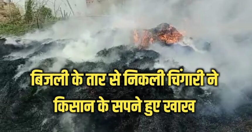 20230420 221841 बिजली के तार से निकली चिंगारी ने किसान के सपने हुए खाख