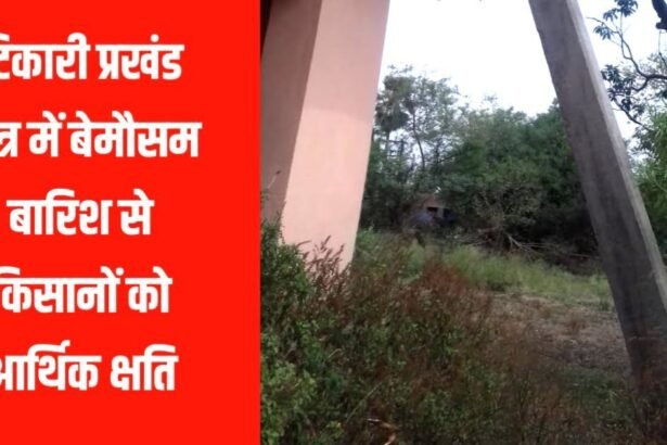 20230430 211548 टिकारी प्रखंड क्षेत्र में बेमौसम बारिश से किसानों को आर्थिक क्षति