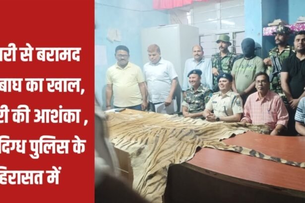 20230503 223103 टिकारी से बरामद हुआ बाघ का खाल, तस्करी की आशंका