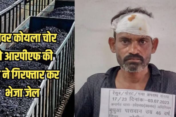 20230703 212822 पेशेवर कोयला चोर को आरपीएफ की टीम ने गिरफ्तार कर भेजा जेल