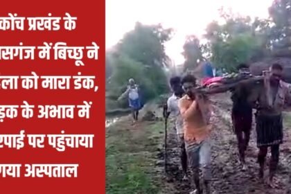 20230705 162927 कोंच प्रखंड के हुलासगंज में बिच्छू ने महिला को मारा डंक, सड़क के अभाव में चारपाई पर पहुंचाया गया अस्पताल