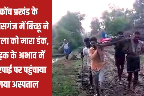 20230705 162927 कोंच प्रखंड के हुलासगंज में बिच्छू ने महिला को मारा डंक, सड़क के अभाव में चारपाई पर पहुंचाया गया अस्पताल