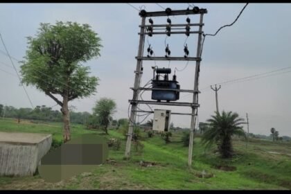 IMG 20230705 WA0037 विद्युत ट्रांसफार्मर के तार के चपेट में आने से एक भैंस की हुई मौत
