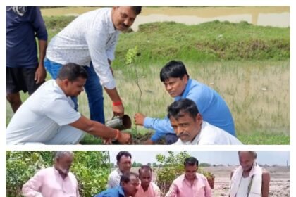 IMG 20230710 WA0049 पर्यावरण को स्वच्छ रखने को लेकर मुखिया के सौजन्य से किया गया वृक्षारोपण