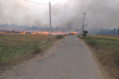 img 20240423 wa00197407635185311116066 सरकार के लाख प्रयासों के बावजूद पराली जलाने से बाज नहीं आ रहे किसान