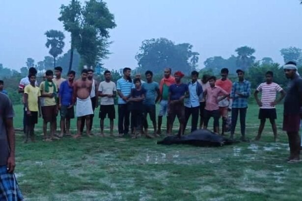 image editor output image 149767980 17208867538315552768385440981632 टिकारी में ठनका गिरने से दो मवेशी की मौत