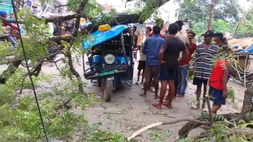 img 20240812 wa00351684342433225723901 गया शहर के रामशिला-प्रेतशिला मार्ग पर अचानक टूटकर गिरा पेड़, ई रिक्शा चालक सहित यात्री बाल बाल बचे