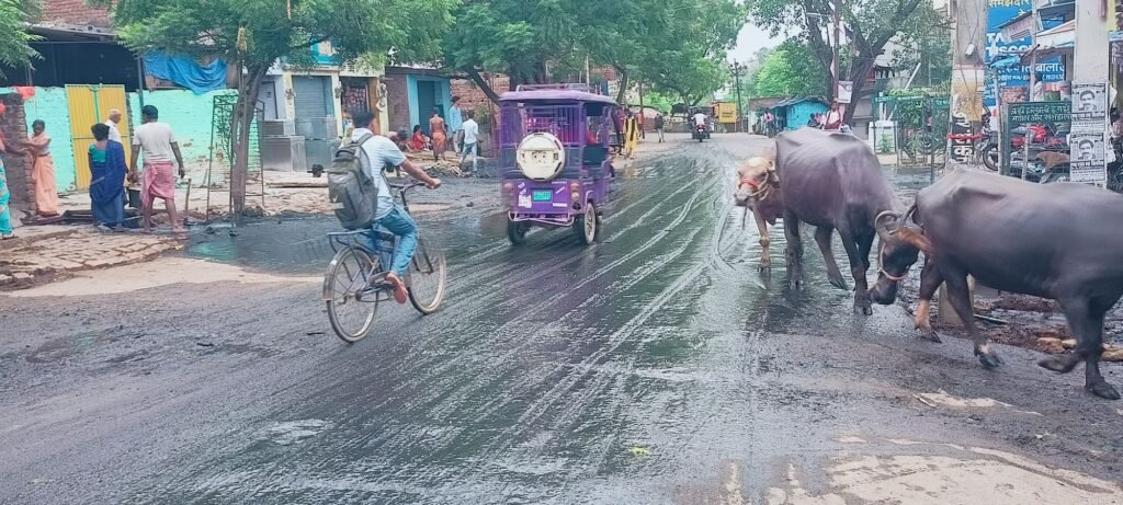 न तो सावन और ना ही भादो, सड़क पर कादो ही कादो, नाला सफाई अभियान में की जा रही अनदेखी 1 image editor output image 1761102117 1748093055180111981507749923627 न तो सावन और ना ही भादो, सड़क पर कादो ही कादो, नाला सफाई अभियान में की जा रही अनदेखी