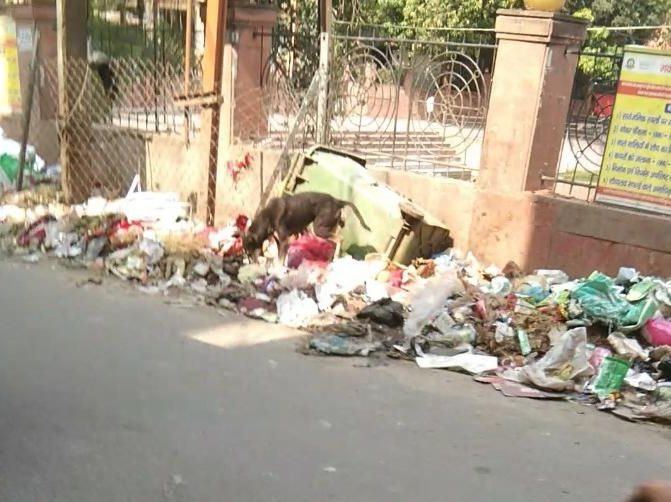 शहर में फिर दिखा कचरे का अंबार, सुध नहीं ले रही निगम सरकार,खबर का असर,एजेंसी से मांगा गया स्पष्टीकरण 3 image editor output image2034993324 17467946976525704318813212999609 शहर में फिर दिखा कचरे का अंबार, सुध नहीं ले रही निगम सरकार,खबर का असर,एजेंसी से मांगा गया स्पष्टीकरण