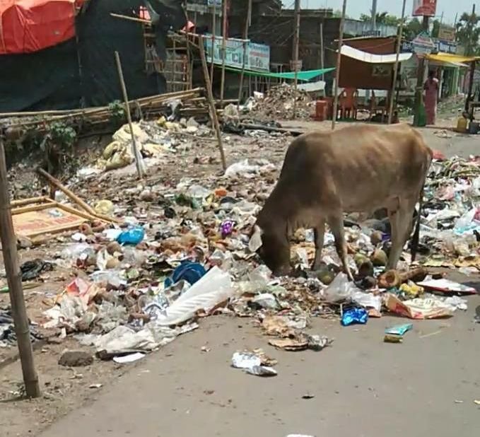 शहर में फिर दिखा कचरे का अंबार, सुध नहीं ले रही निगम सरकार,खबर का असर,एजेंसी से मांगा गया स्पष्टीकरण 1 image editor output image2035916845 17467944560012325056638273870512 शहर में फिर दिखा कचरे का अंबार, सुध नहीं ले रही निगम सरकार,खबर का असर,एजेंसी से मांगा गया स्पष्टीकरण