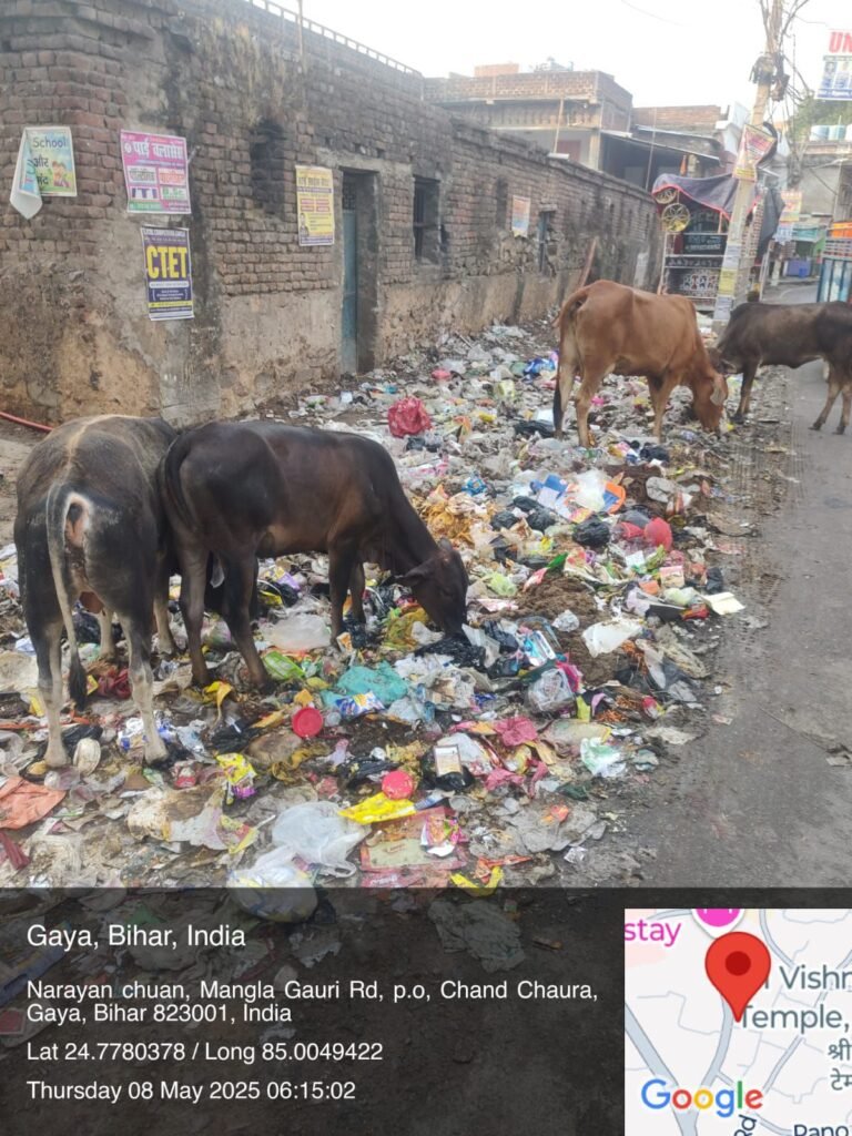 कभी-2खबरें नहीं, बल्कि तस्वीरें सबकुछ बयां कर देती है, नगर निगम के दावे की पोल खोलती तस्वीरों को देखें 16 img 20250508 wa00922054056590748858951 कभी-2खबरें नहीं, बल्कि तस्वीरें सबकुछ बयां कर देती है, नगर निगम के दावे की पोल खोलती तस्वीरों को देखें