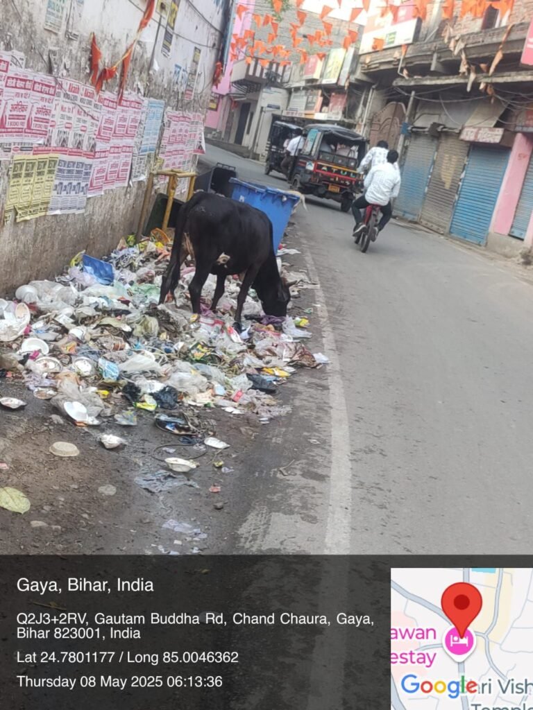 कभी-2खबरें नहीं, बल्कि तस्वीरें सबकुछ बयां कर देती है, नगर निगम के दावे की पोल खोलती तस्वीरों को देखें 15 img 20250508 wa00934043914525105573534 कभी-2खबरें नहीं, बल्कि तस्वीरें सबकुछ बयां कर देती है, नगर निगम के दावे की पोल खोलती तस्वीरों को देखें