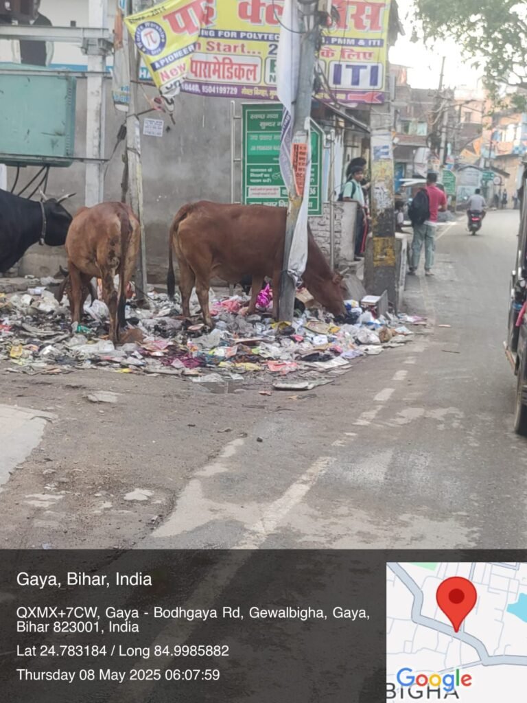 कभी-2खबरें नहीं, बल्कि तस्वीरें सबकुछ बयां कर देती है, नगर निगम के दावे की पोल खोलती तस्वीरों को देखें 10 img 20250508 wa00984073426497111145919 कभी-2खबरें नहीं, बल्कि तस्वीरें सबकुछ बयां कर देती है, नगर निगम के दावे की पोल खोलती तस्वीरों को देखें