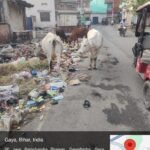 img 20250508 wa01002578616779489048714 कभी-2खबरें नहीं, बल्कि तस्वीरें सबकुछ बयां कर देती है, नगर निगम के दावे की पोल खोलती तस्वीरों को देखें