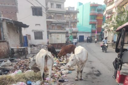 img 20250508 wa01002578616779489048714 कभी-2खबरें नहीं, बल्कि तस्वीरें सबकुछ बयां कर देती है, नगर निगम के दावे की पोल खोलती तस्वीरों को देखें