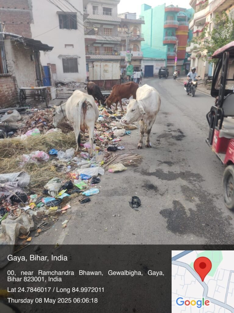 कभी-2खबरें नहीं, बल्कि तस्वीरें सबकुछ बयां कर देती है, नगर निगम के दावे की पोल खोलती तस्वीरों को देखें 2 img 20250508 wa01002578616779489048714 कभी-2खबरें नहीं, बल्कि तस्वीरें सबकुछ बयां कर देती है, नगर निगम के दावे की पोल खोलती तस्वीरों को देखें