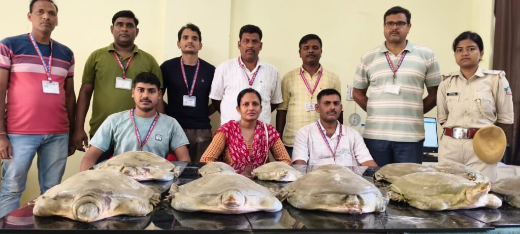 image editor output image1675366038 17583514676264282885918355685039 कालका मेल से कछुए बरामद, वन विभाग को सौंपा गया, जनरल कोच में बैग में छिपा कर ले जाया जा रहा था