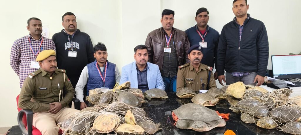 image editor output image 954224835 17657770261212037637055683019082 कालका मेल ट्रेन से 38 लाख रुपए के मूल्य के 76 जीवित कछुए बरामद, वन विभाग को सौंपा गया