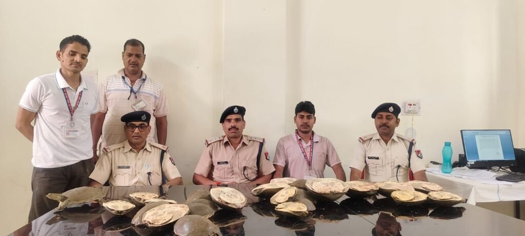 image editor output image 391110213 17748646728462146335791294966903 देहरादून एक्सप्रेस से जीवित कछुआ बरामद, वन विभाग को सुपुर्द