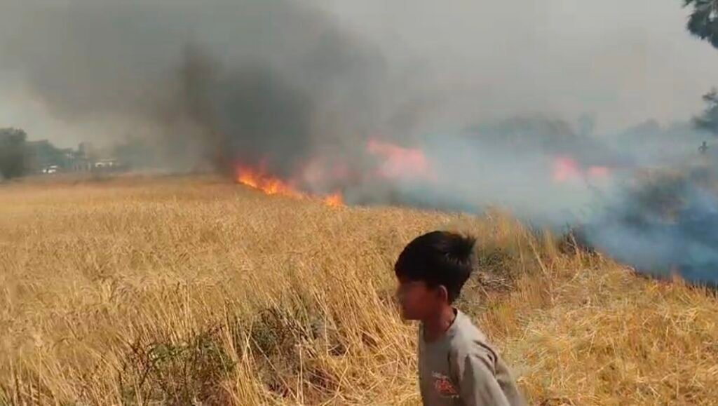 image editor output image 1081359071 17767776217974849268913612991224 गया के एक गांव में लगी भीषण आग, 40 बीघा गेहूं की फसल जलकर राख, किसानों को लाखों का नुकसान